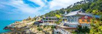 Discover the World Travel program