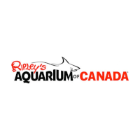 Ripley's Aquarium