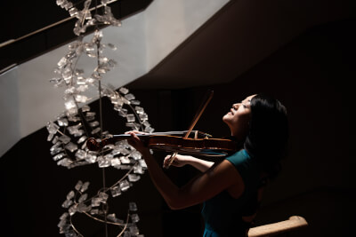 Logo for Precious Moment Violin Service