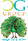 Logo for The CG Group