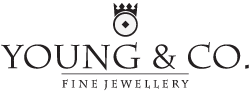Logo for Young & Co. Repair and Care